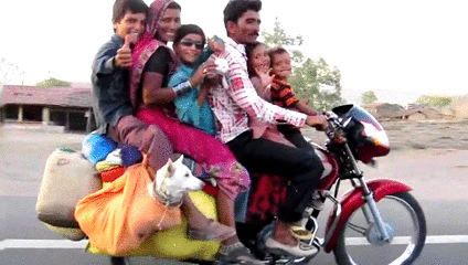 india india