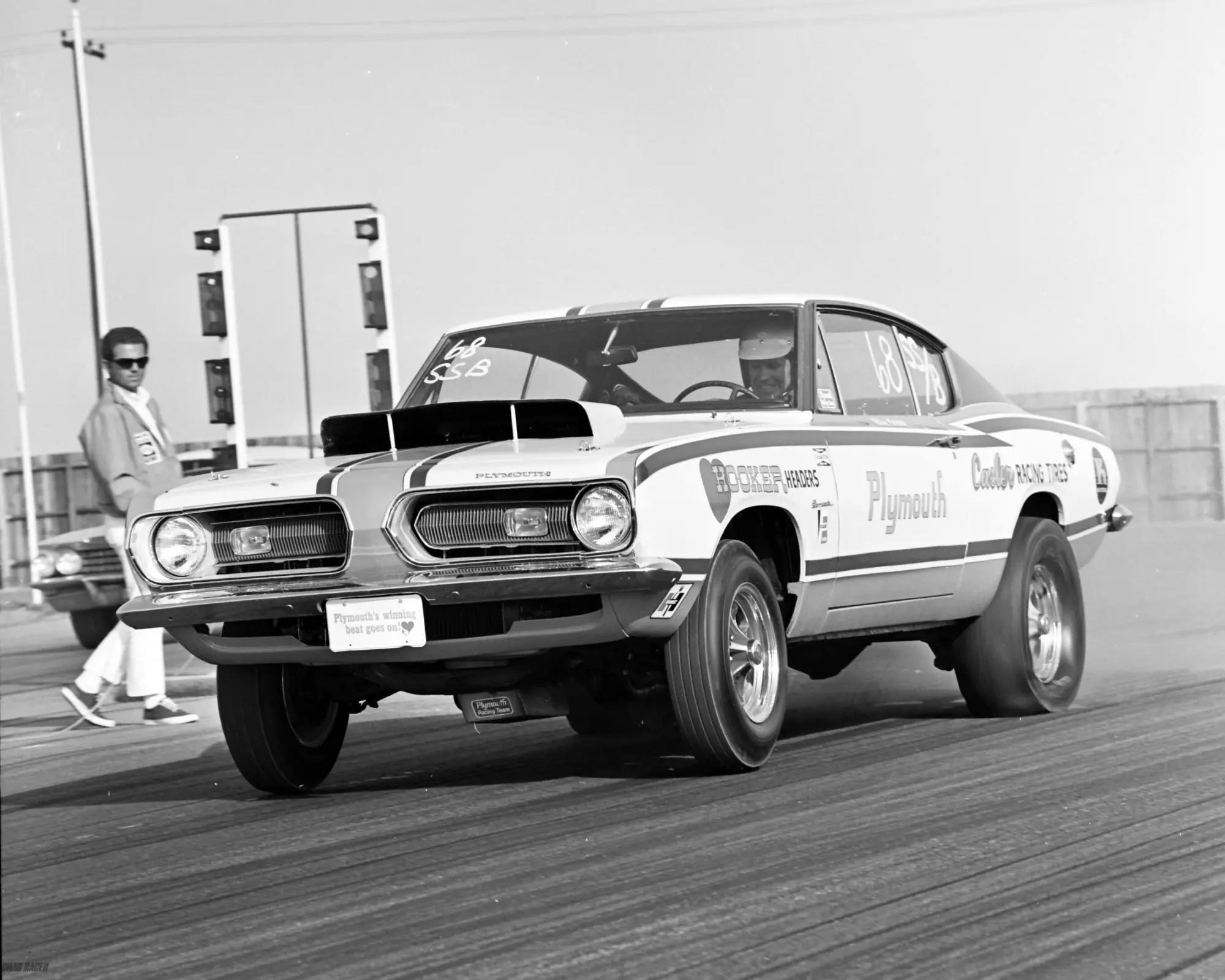 barracuda