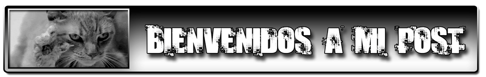 Cinco increibles replicas hechas por fans...