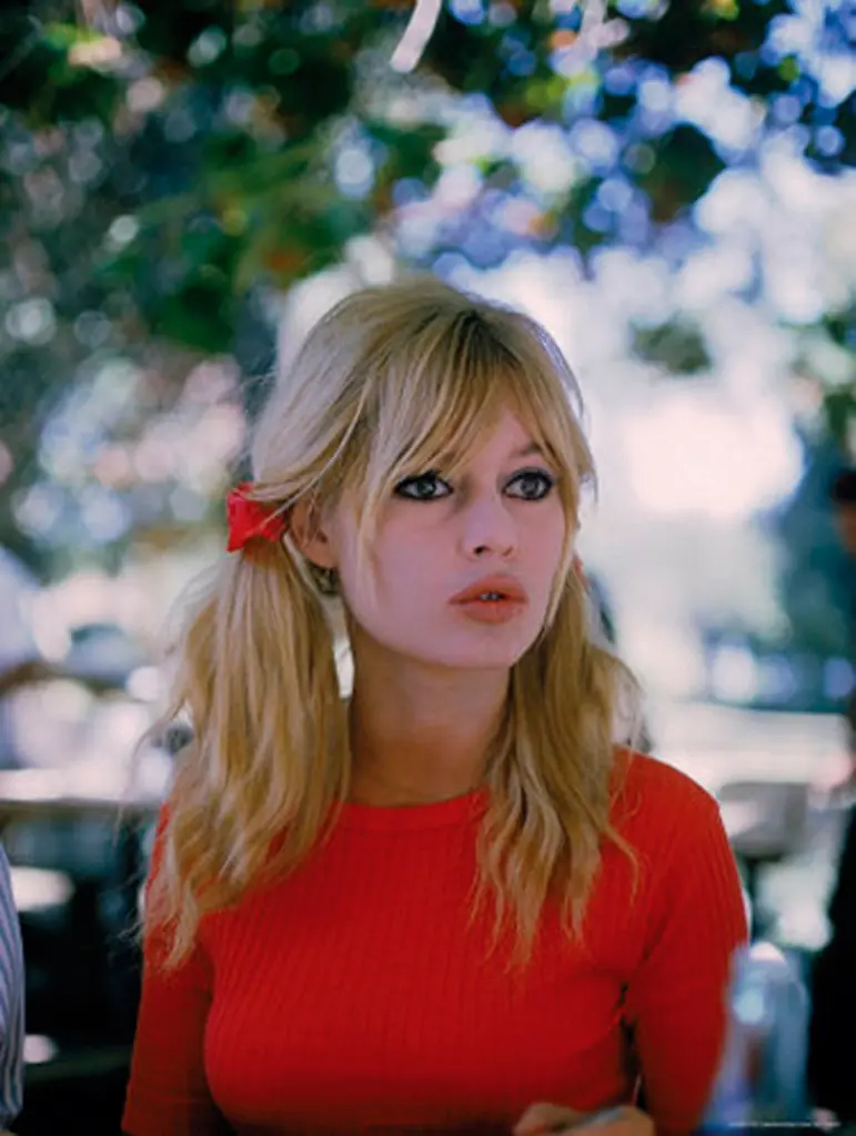 Brigitte Bardot el post que se merece