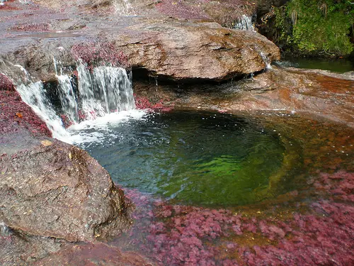 naturaleza