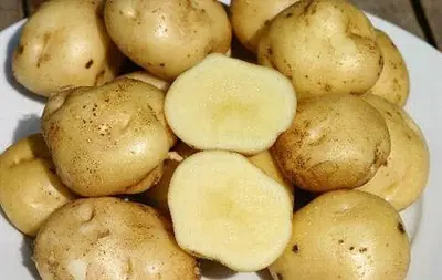 alimentos mas caros del mundo