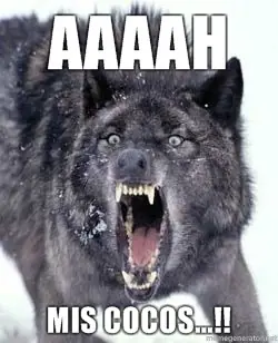 no