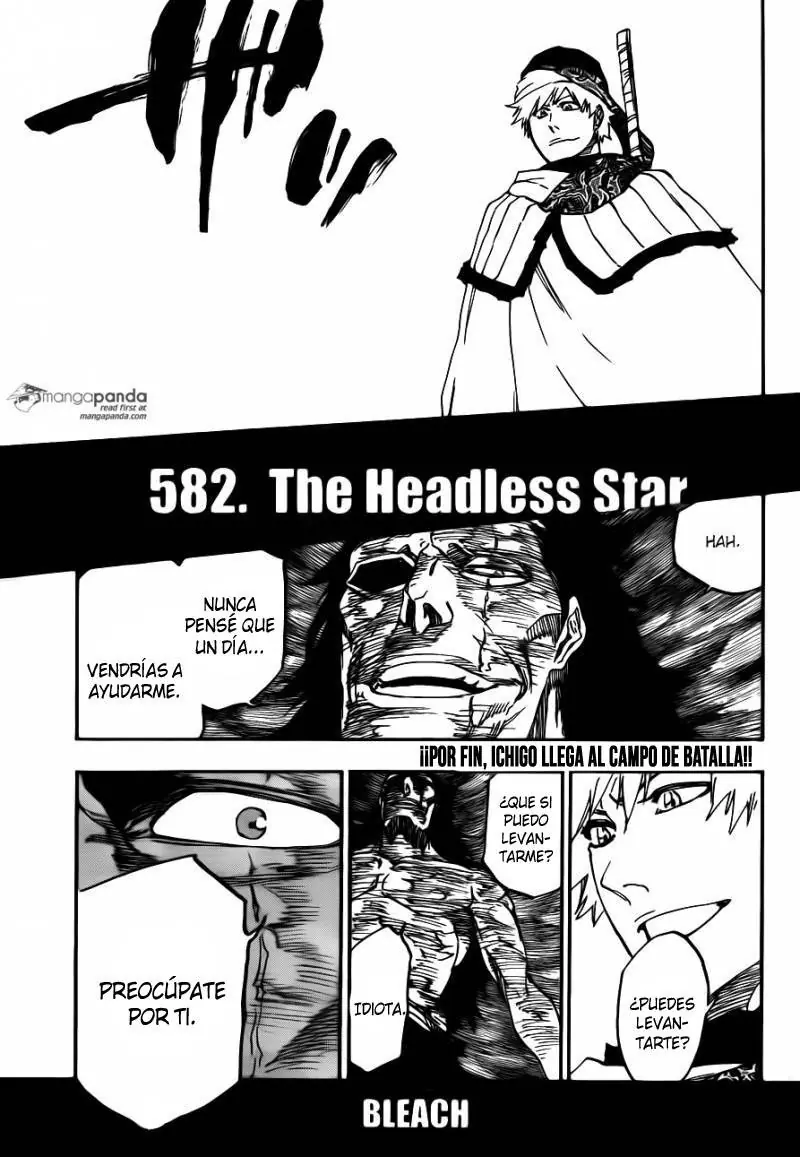 bleach