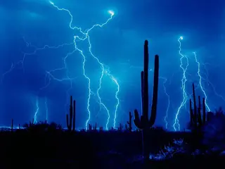 rayos