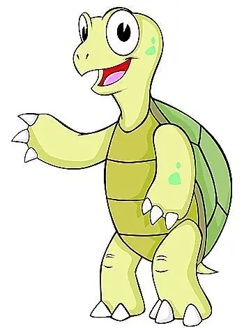 Tuga La Tortuga Haragana