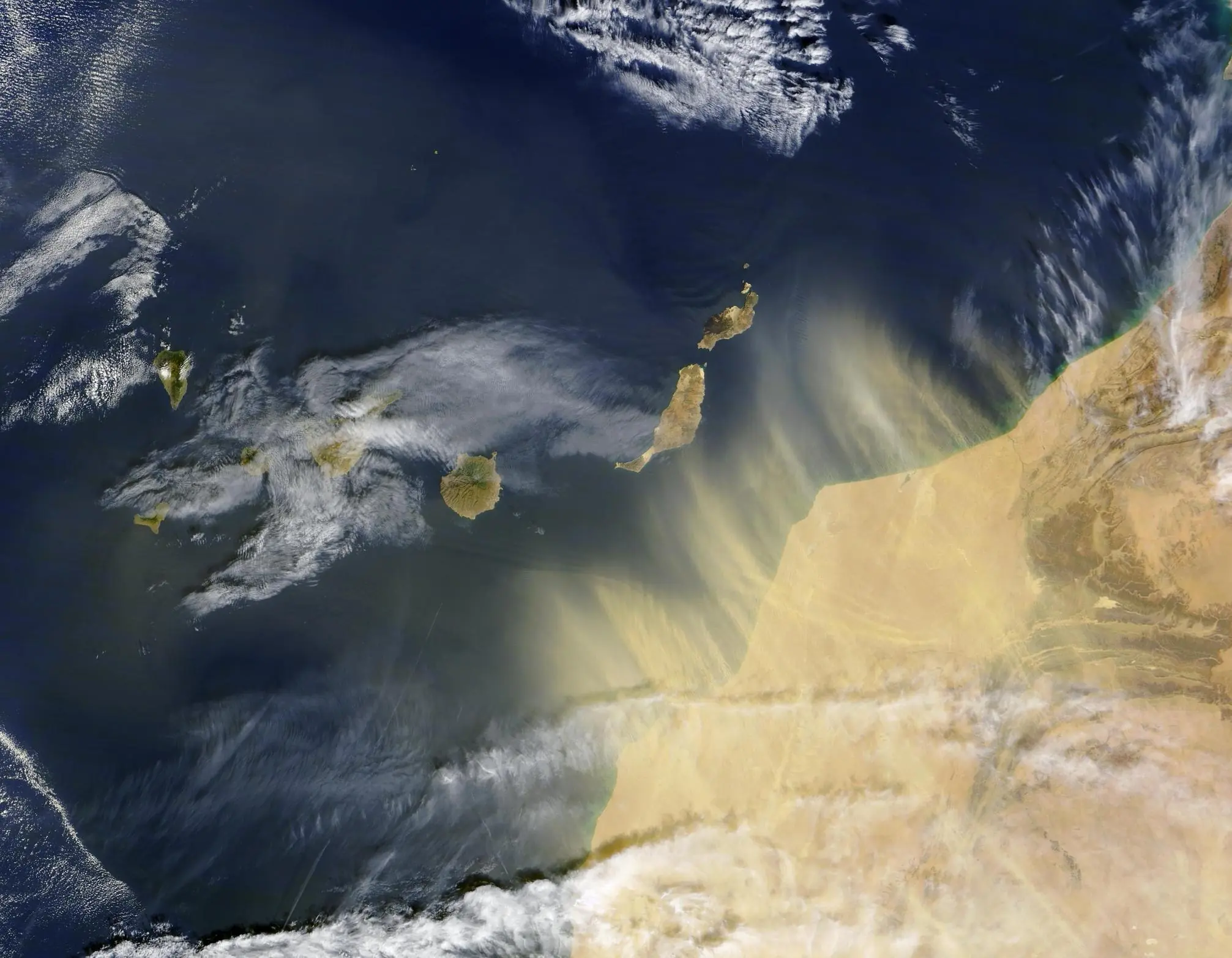 Bacterias de Islas Bahamas se Alimentan de Polvo del Sahara