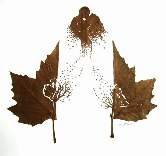 Esto Pasa Cuando La Naturaleza Se Fusiona Con La Imaginación