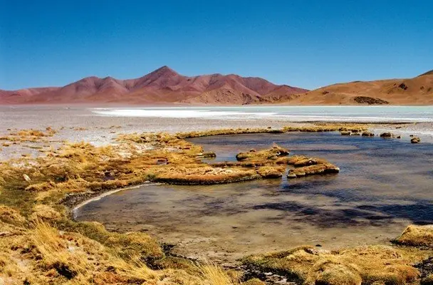 Un lago argentino podría esconder secretos de la vida en Mar