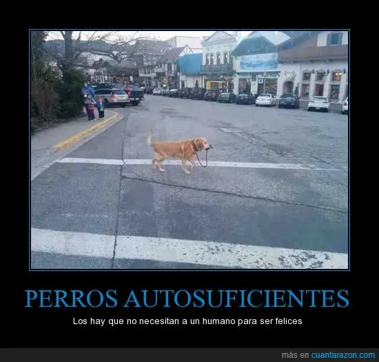 carteles