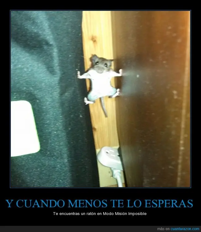 reir