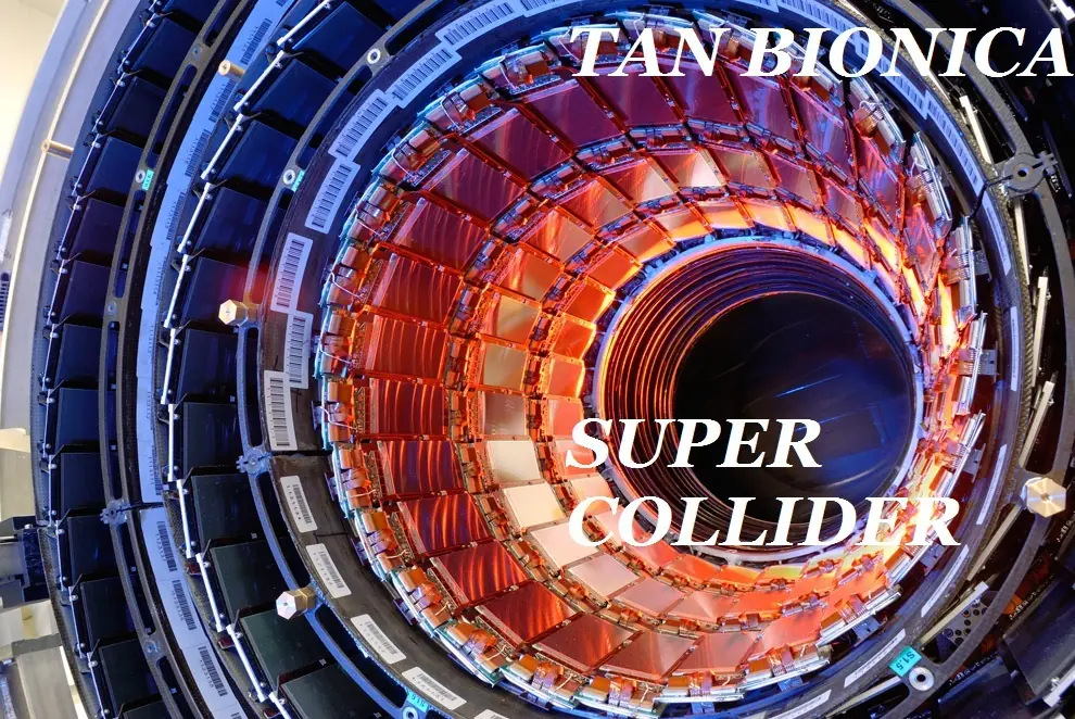 Bambi habla de Super Collider de Tan Bionica