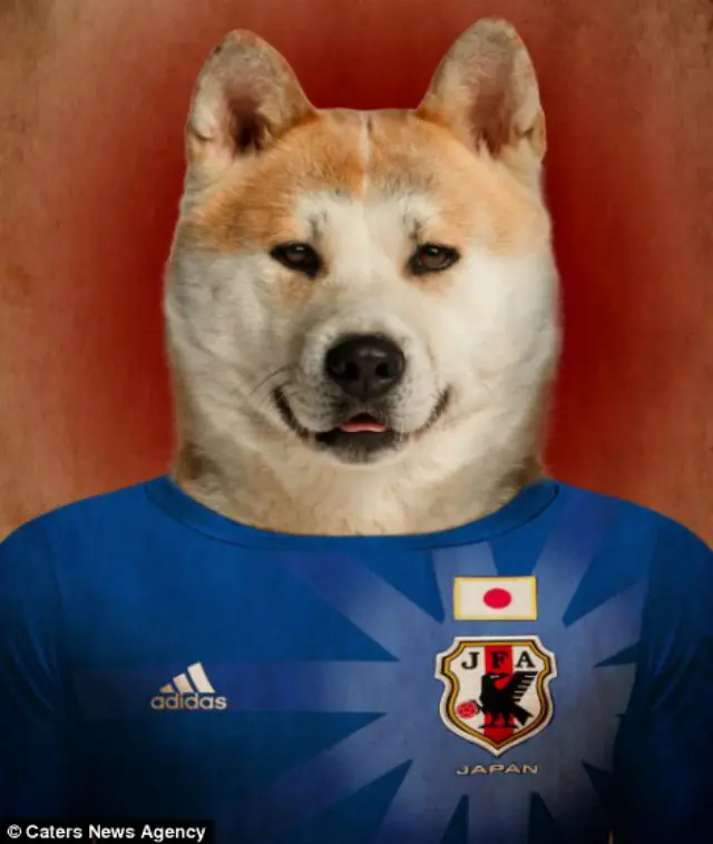 marca