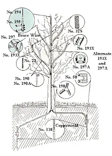 rayos atmofericos