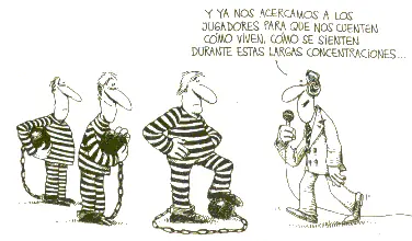 pelota