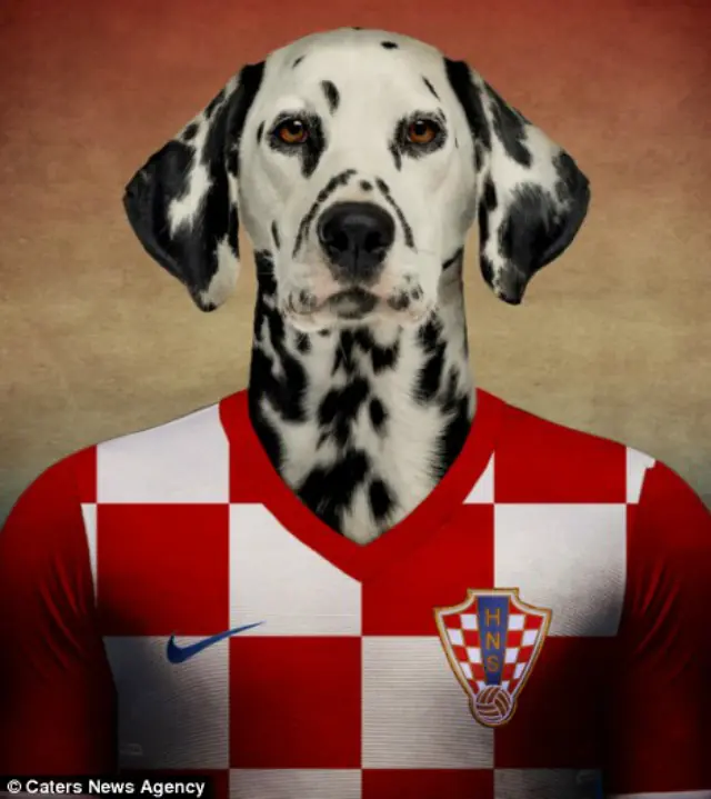 Razas de perros con  la camiseta de su selección.