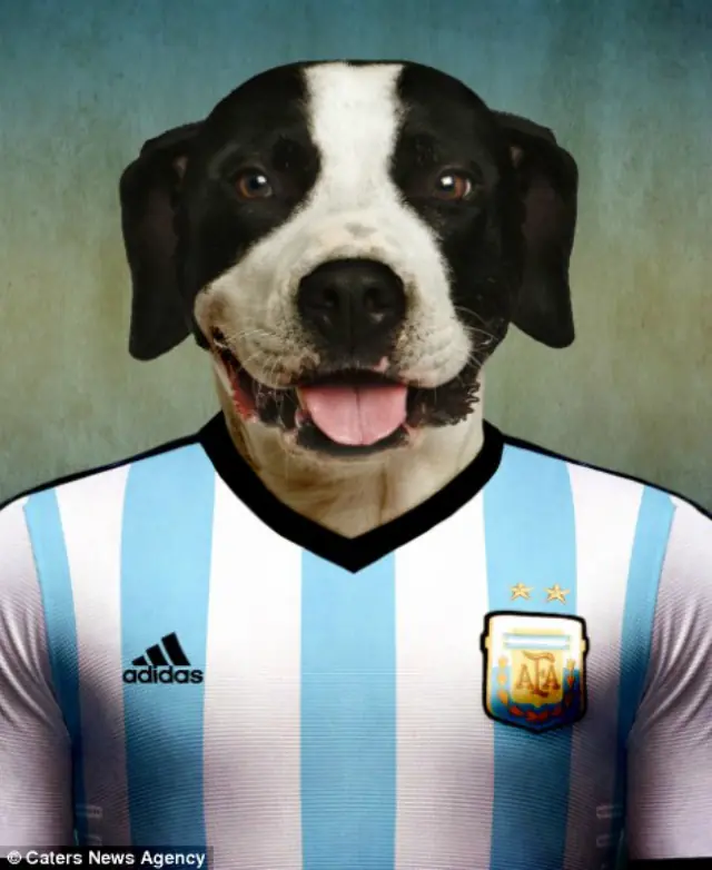 marca