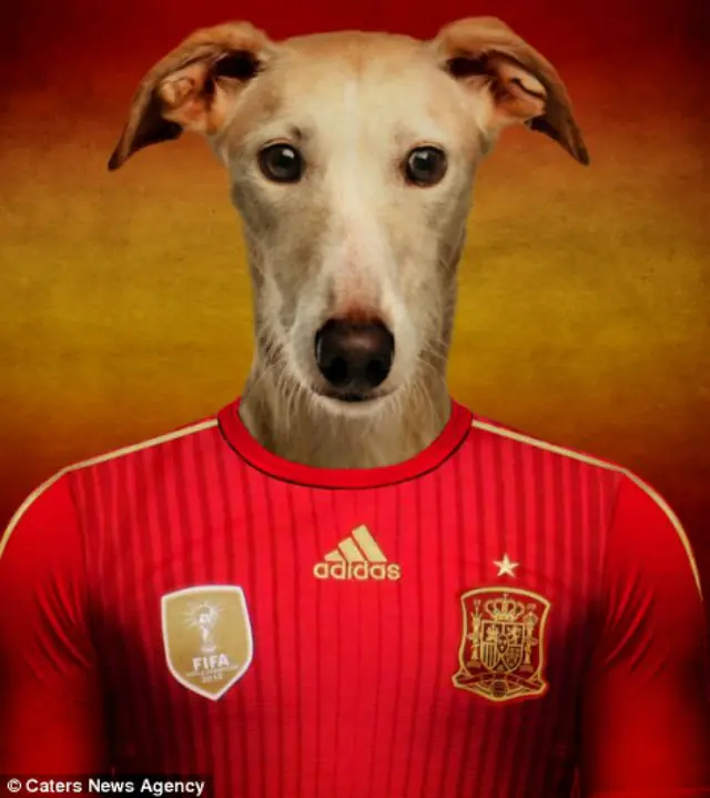 fut