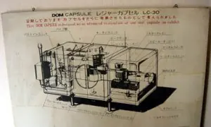 capsula