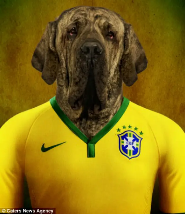 Razas de perros con  la camiseta de su selección.