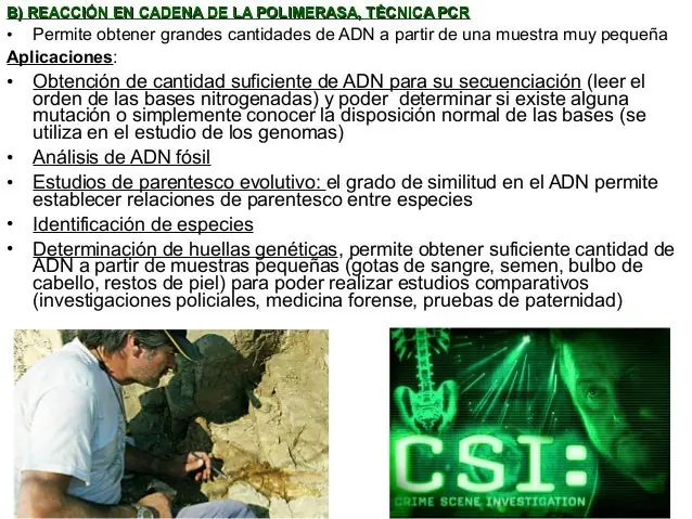 genetica