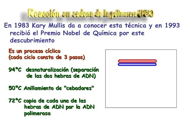 sabiduriía