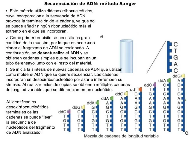 ingeniería