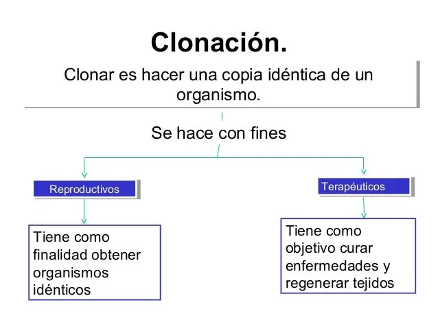 Importancia y beneficios de la ingeniería genética.