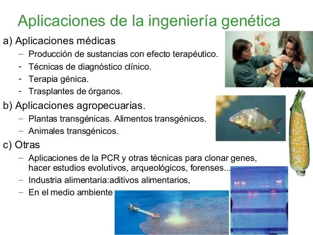 medicina