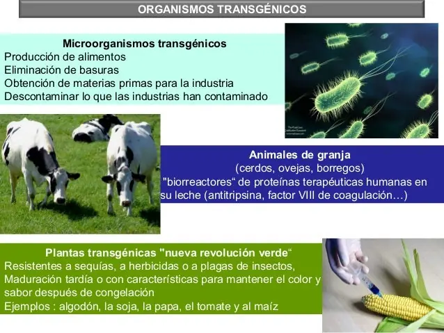 ingeniería