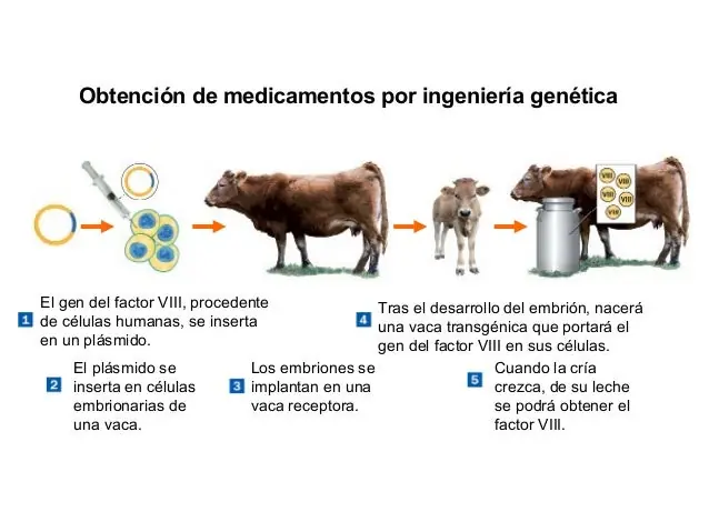 genetica