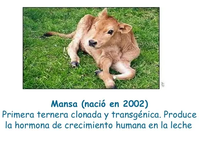 sabiduriía