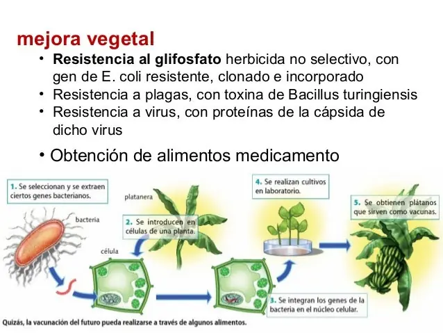 sabiduriía