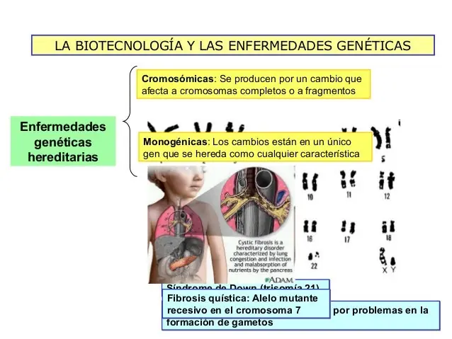 medicina