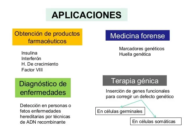 ingeniería