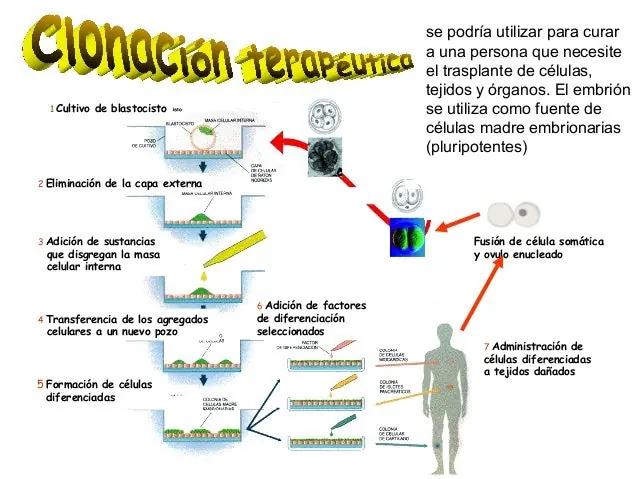 medicina