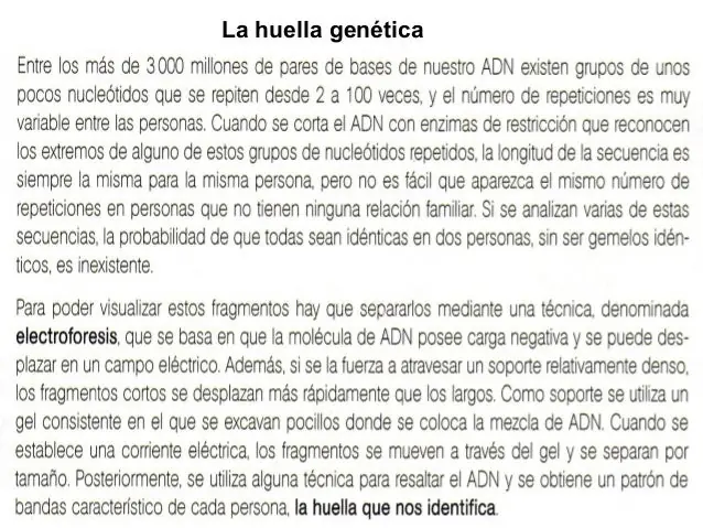 ingeniería