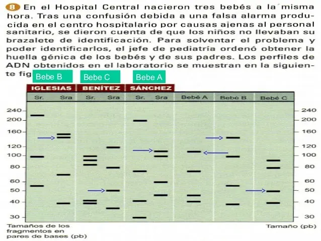 Importancia y beneficios de la ingeniería genética.