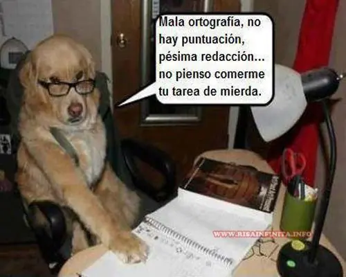 humor