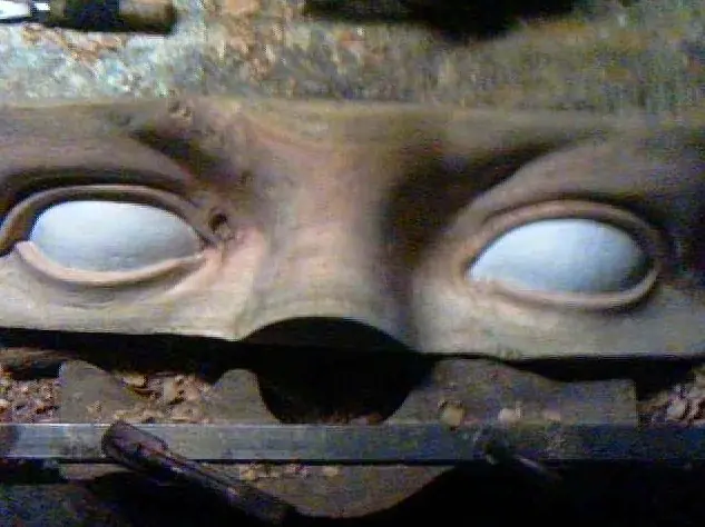 tortuga
