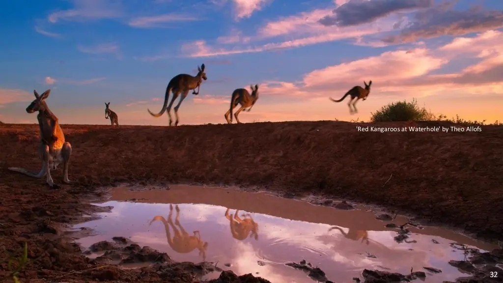 naturaleza