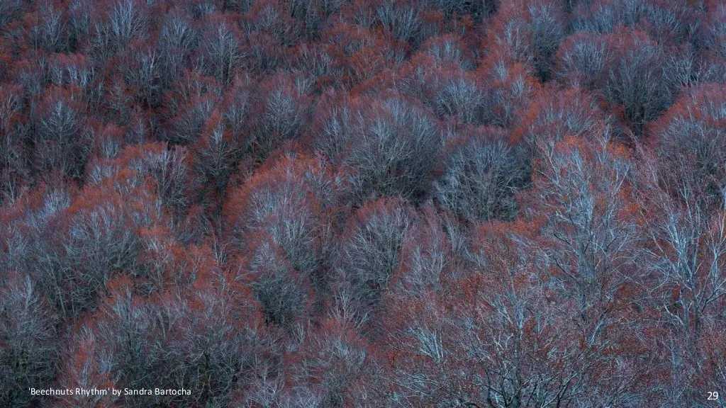 Fotos Naturaleza Salvaje - Finalistas 2014