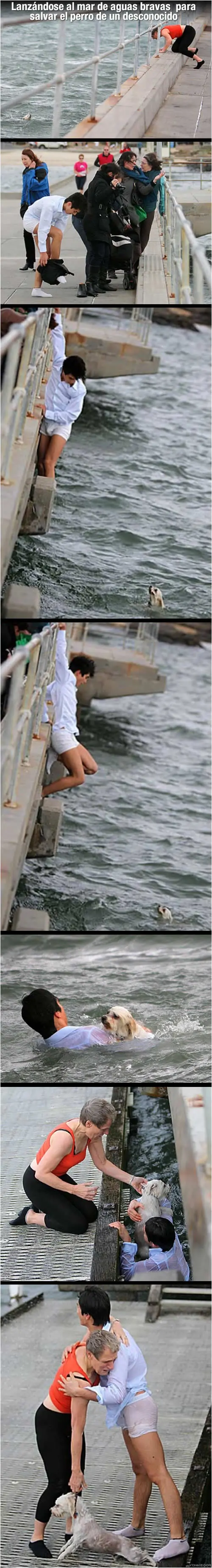 Imágenes, fails, fuuuuu, gifs, wtf?! - [Parte 11]