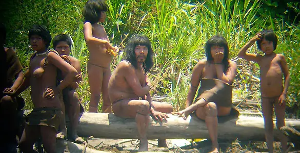 amazonas