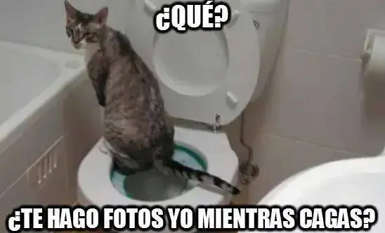 frases