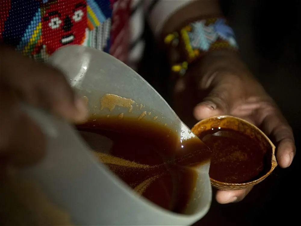 El yagé, de medicina tradicional indígena