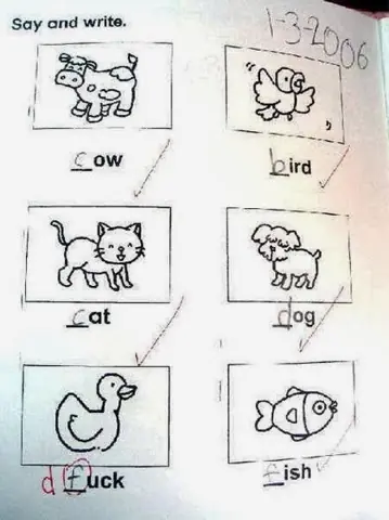 Las respuestas más geniales dentro de un examen