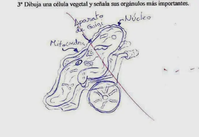 Las respuestas más geniales dentro de un examen