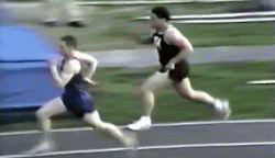 Gifs para divertirse un rato
