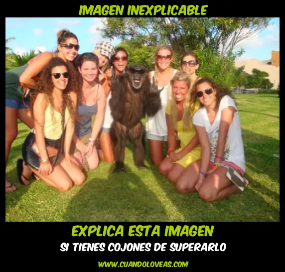 descubre el original